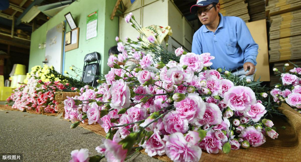 母亲节图片大全（母亲节图片手绘小学生画）
