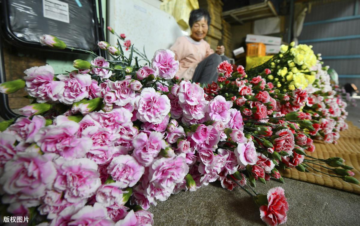 母亲节图片大全（母亲节图片手绘小学生画）