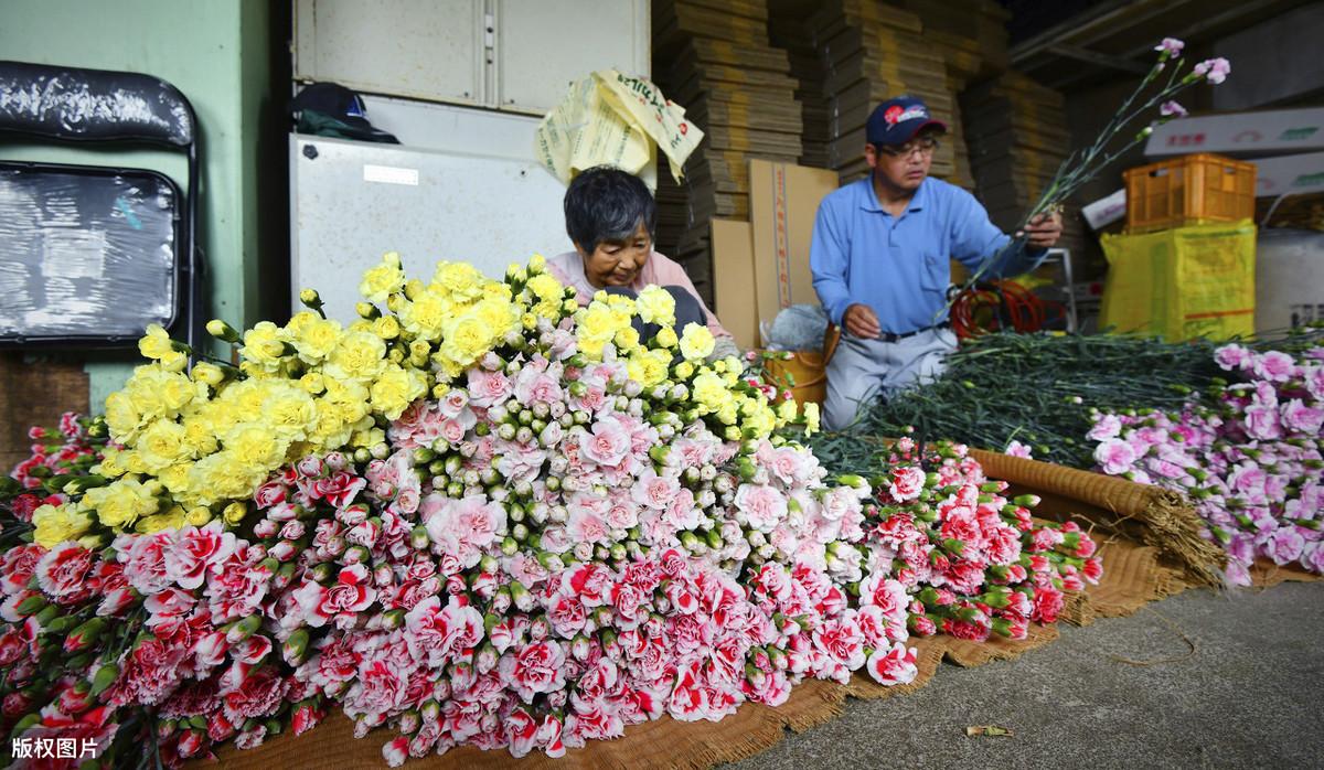 母亲节图片大全（母亲节图片手绘小学生画）