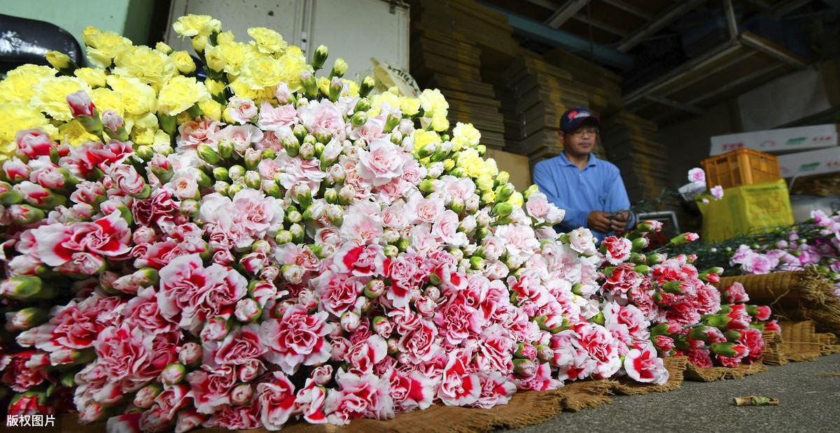 母亲节图片大全（母亲节图片手绘小学生画）
