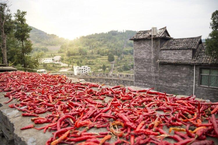 多吃辣椒能长寿？北大研究：常吃辣椒或能降低死亡风险，吃多少好（吃辣对寿命有影响吗）