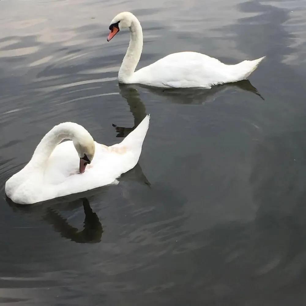 六一儿童节可爱文案-六一儿童节文案创意朋友圈