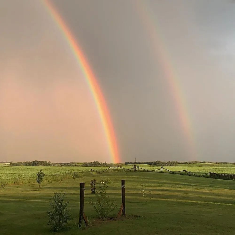适合六一发的儿童节文案-儿童节文案简短可爱