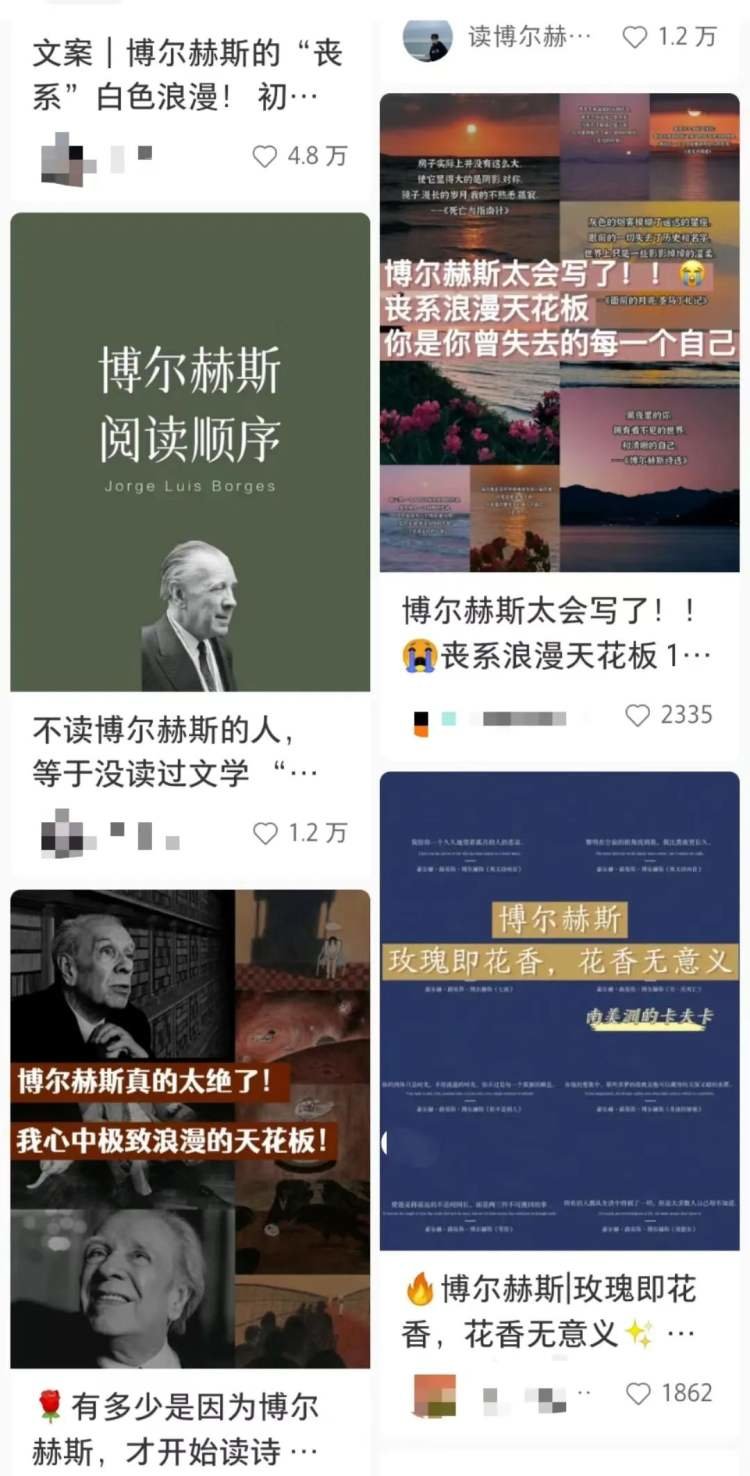 杀死一本书的，可能是它的金句-杀死书虫