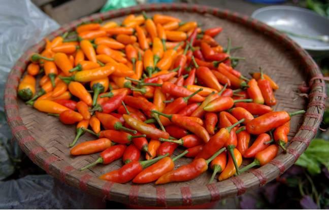 美国研究发现吃辣椒有益于延长寿命（吃辣椒的人长寿吗2023）