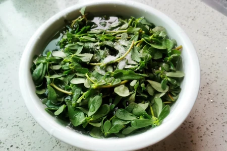 一清热，二消炎，三降血压，路边随处可见，季节性强，遇到别错过（清热消炎宁片主要是治什么病）