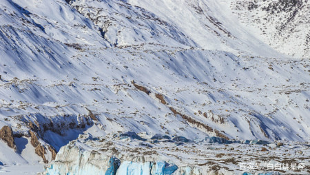 金牛座凭什么能被爱着？-金牛座为什么很难爱上一个人的原因