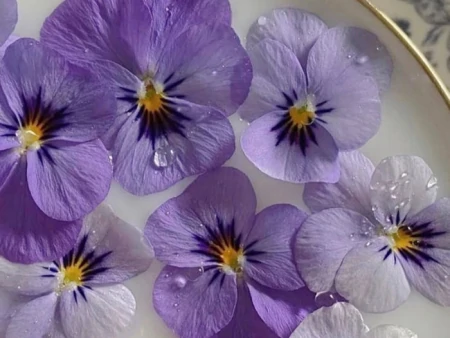 金牛座有哪些弱点，容易给自己招黑？明明很在乎，却宁愿错过-金牛座不为人知的黑暗面