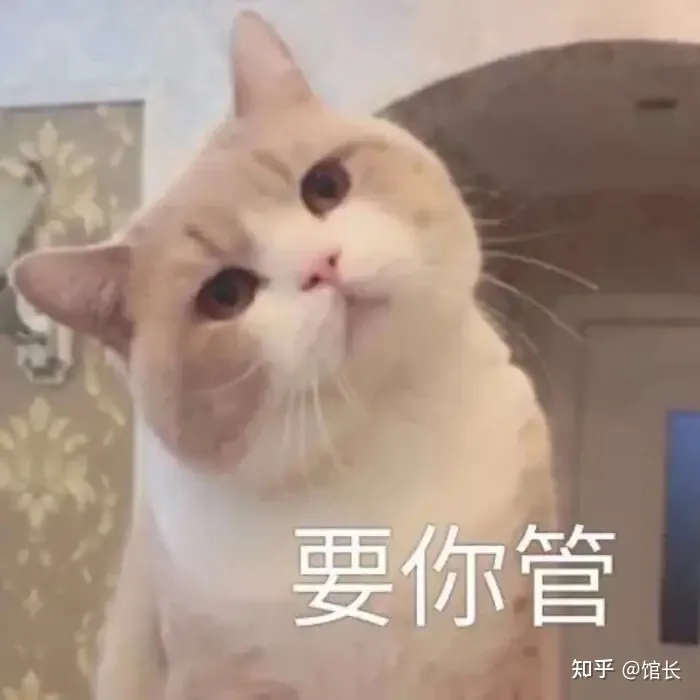 金牛座到底是个怎样的人呢？-金牛座是什么样子的女生