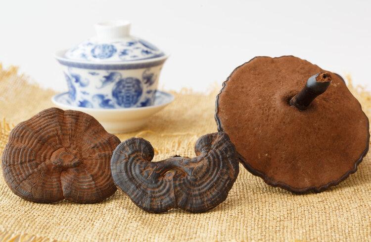 灵芝孢子粉，到底是养生好物还是慢性毒药？癌症患者可以吃吗？（灵芝孢子胃不好能不能吃）