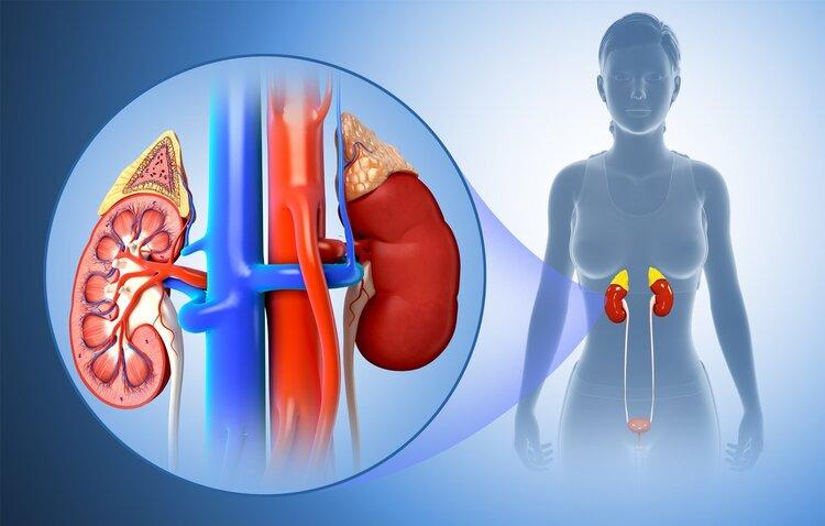 灵芝孢子粉，到底是养生好物还是慢性毒药？癌症患者可以吃吗？（灵芝孢子胃不好能不能吃）
