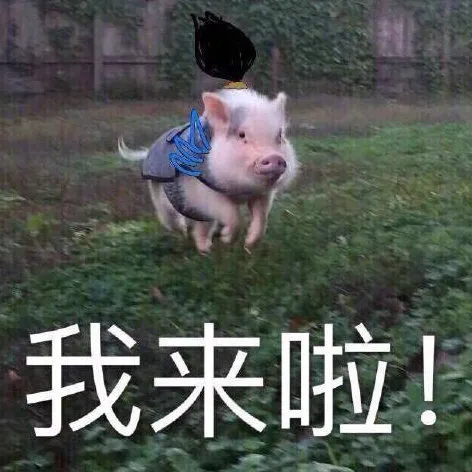 适合端午节发的朋友圈文案来啦~-关于端午节发朋友圈文案