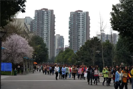 四川高考：成都师范学院2021年本科专业录取分数统计-成都师范学院2021分数线是多少四川