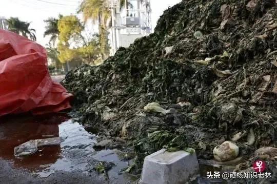 为什么必须3月15日才曝光呢？背后原因找到了！-315为什么选在3月15号