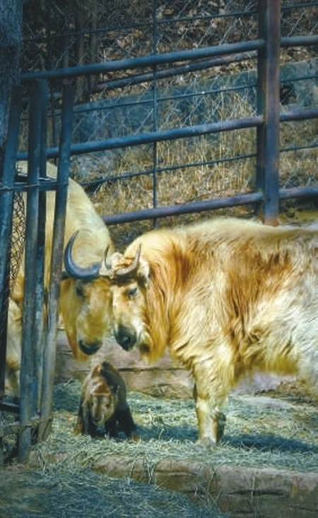迎接“六一”儿童节，沈阳文旅场所童趣多多（沈阳儿童文化宫）