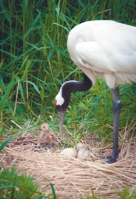 迎接“六一”儿童节，沈阳文旅场所童趣多多（沈阳儿童文化宫）