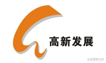 A股：高新发展——子公司官网石锤800g光电共同封装-高新的股票