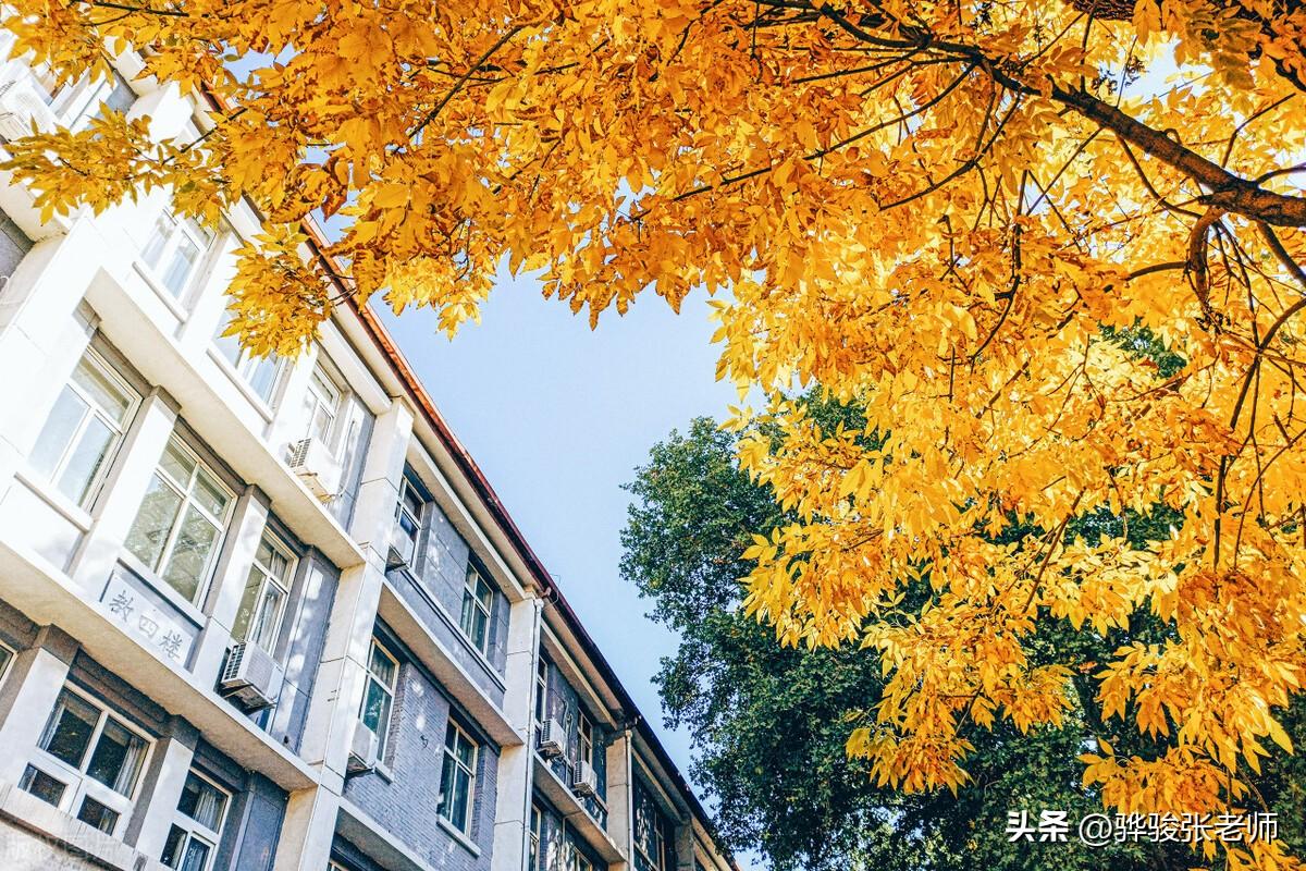 师范大学前20名是谁？实际上还可分为8档，毕业后就业成问题吗？-师范大学前五名