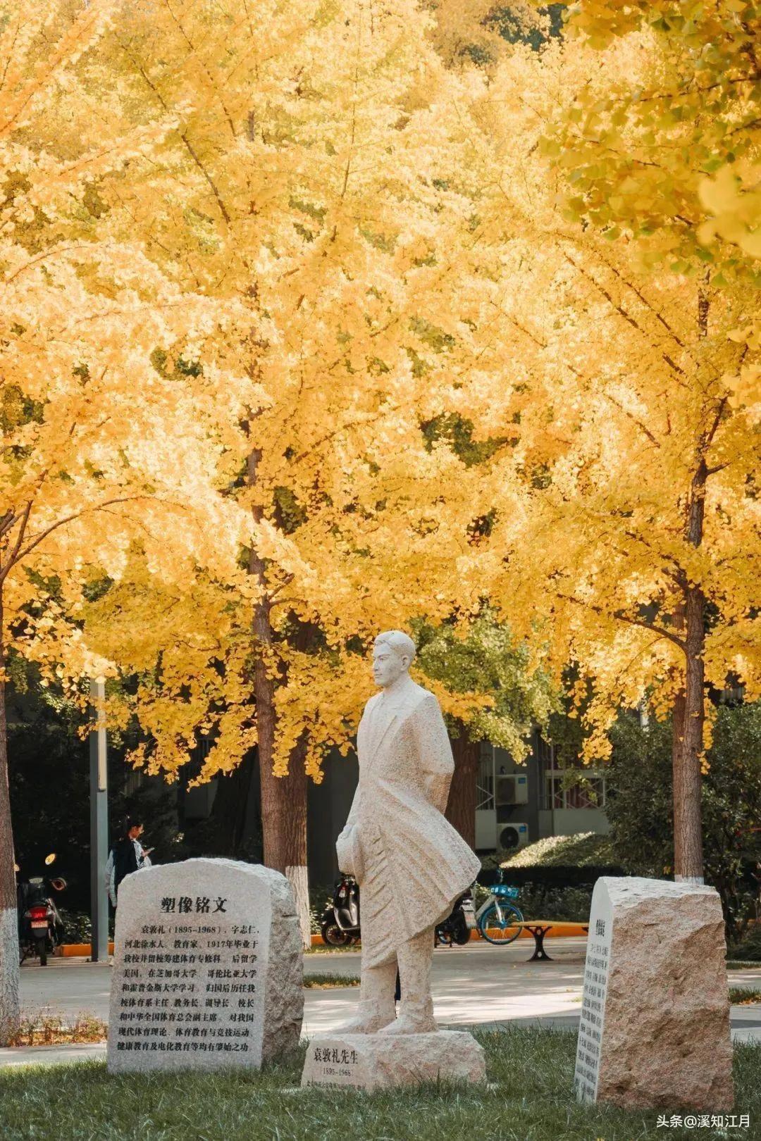 中国师范类大学排名-师范大学排行榜