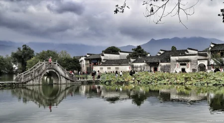 报考导游资格证流程细节都在这了！（导游证报考条件要求）