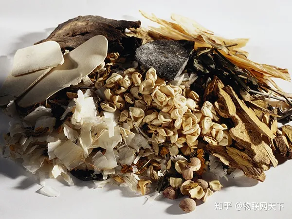 茯苓的功效与作用有哪些（黄芪加一物治百病）