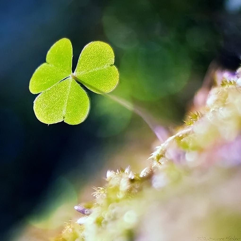 凝心聚力，迎接成功的考验——20句激励高考生的短句-勉励高考成功的贺词简短