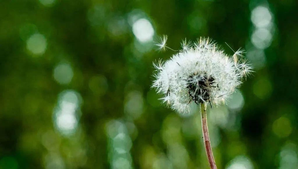 凝心聚力，迎接成功的考验——20句激励高考生的短句-勉励高考成功的贺词简短