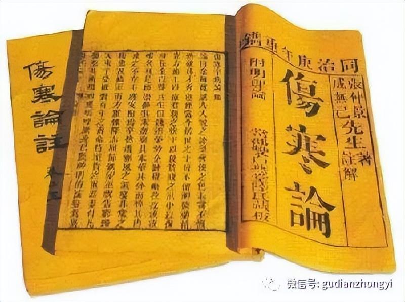 被誉为“四时神药”的茯苓，究竟神在哪里？（中药茯苓神的疗效和作用）