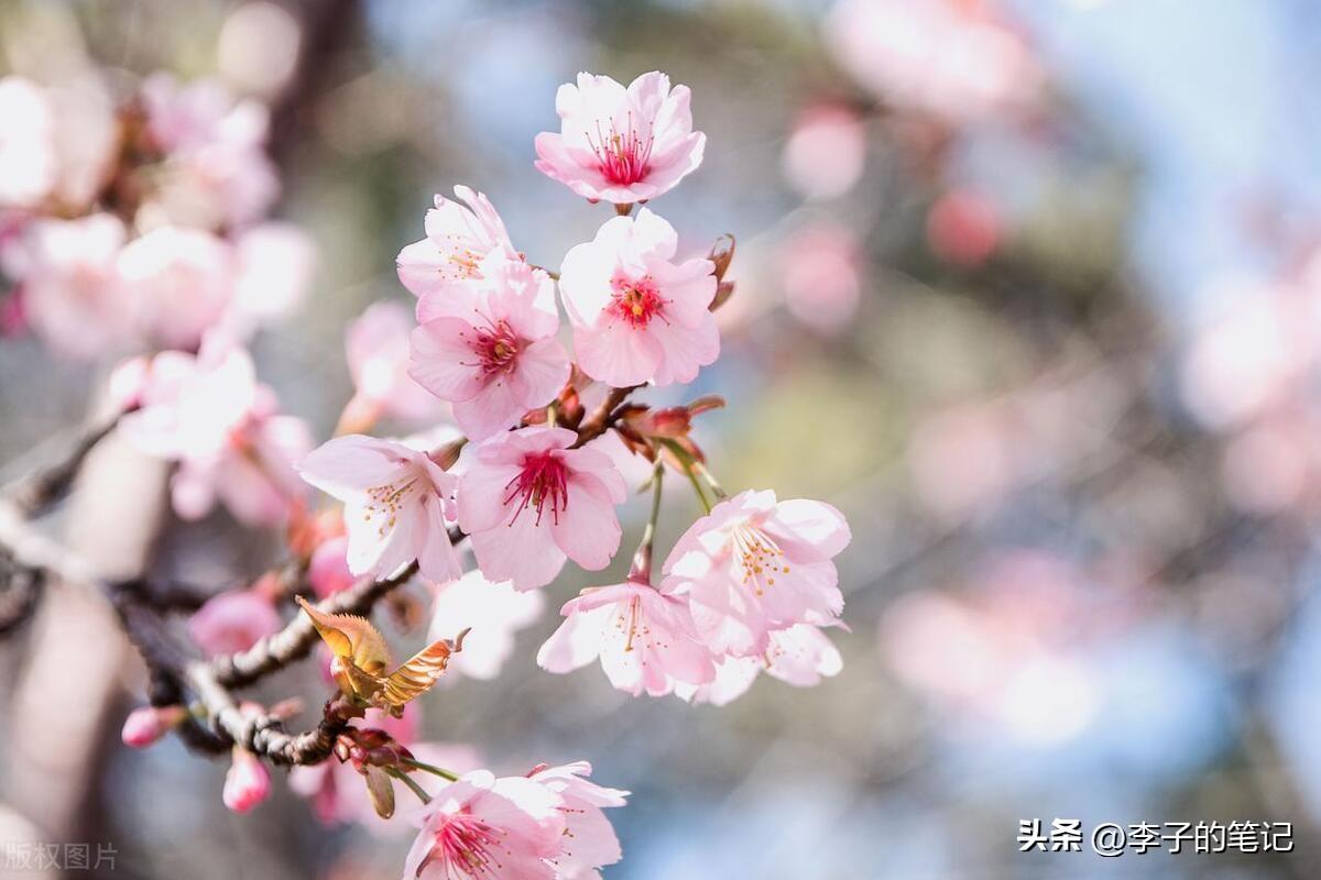 2023高考励志祝福文案，惊艳你的朋友圈！-2021年高考祝福语和鼓励的话