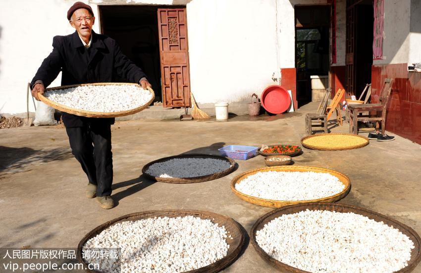 “一两茯苓一两金” 服用茯苓到底有哪些好处？（茯苓十克有多少粒）