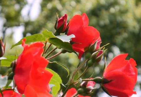 2021高考成功祝福语激励句子大全 温馨励志高考加油推荐-高考成功的祝福语短句