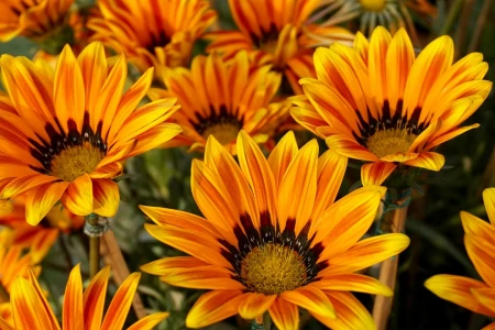 最新励志正能量激励人的句子-100条励志正能量句子