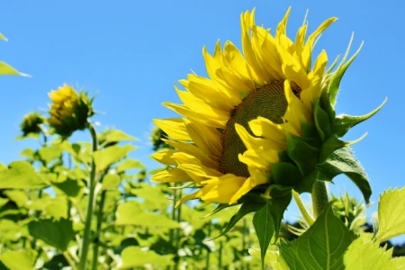 最新励志正能量激励人的句子-100条励志正能量句子