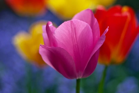 最新励志正能量激励人的句子-100条励志正能量句子