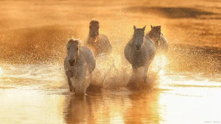 干净简短的励志句子20条，你最喜欢哪一句？-干净励志语录