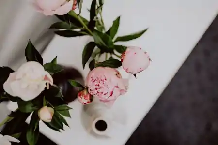 可发朋友圈的励志句子，句句舒心，温暖心灵-适合发朋友圈的励志说说