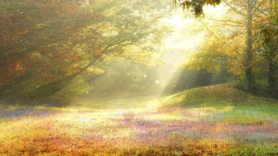 祝孩子中考顺利的句子：竭尽全力不过问结果成功属于有准备的勇士-预祝孩子中考顺利的句子