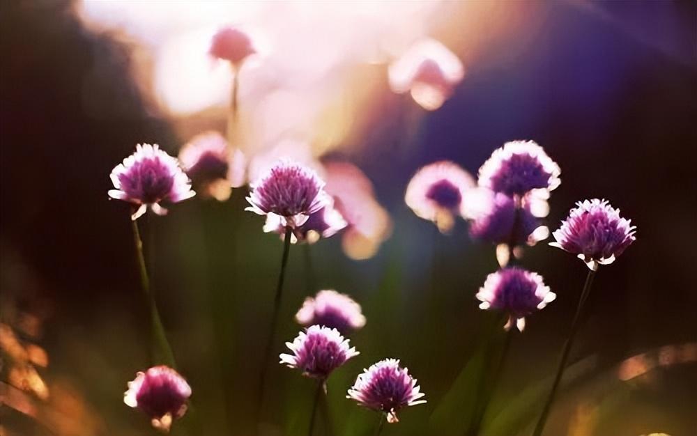 祝孩子中考顺利的句子：竭尽全力不过问结果成功属于有准备的勇士-预祝孩子中考顺利的句子