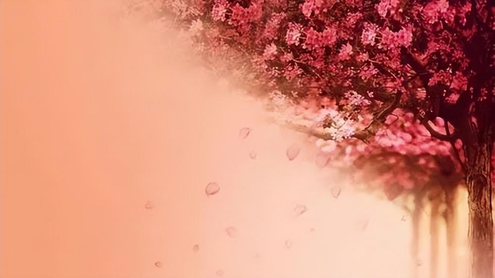 中考过后25句祝福语，为你点燃未来的希望！-中考完祝福语和鼓励的话