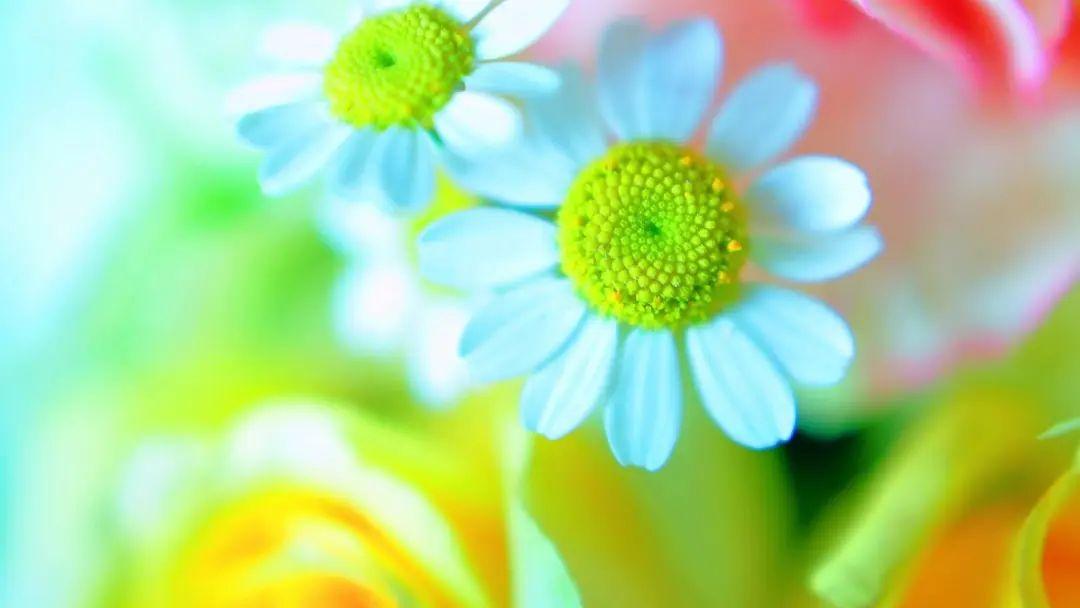 中考过后25句祝福语，为你点燃未来的希望！-中考完祝福语和鼓励的话