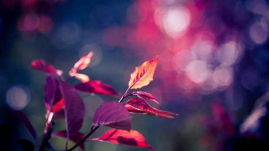 中考过后25句祝福语，为你点燃未来的希望！-中考完祝福语和鼓励的话