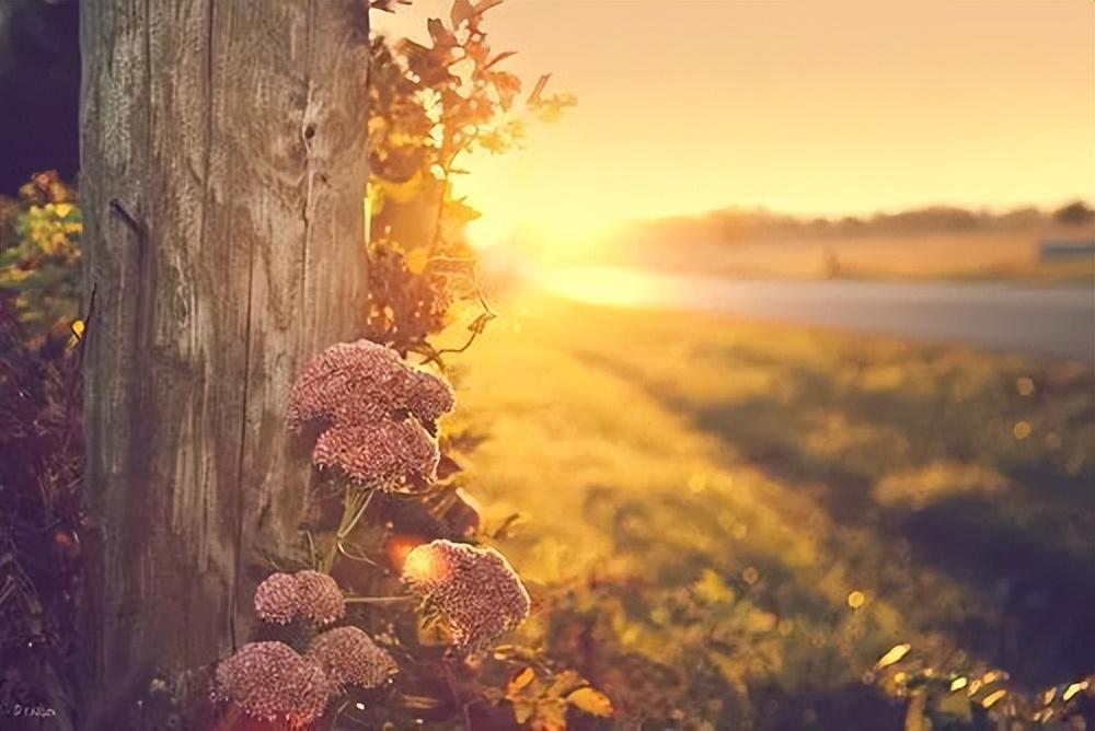 给即将参加中考的孩子们的20句暖心加油话-马上中考了家长为孩子加油的话怎么写