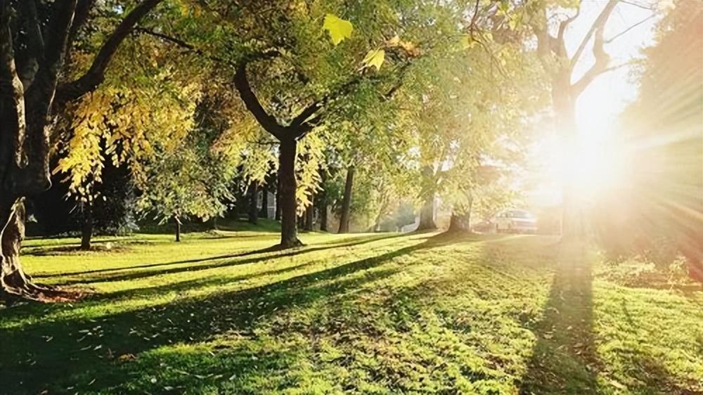 给即将参加中考的孩子们的20句暖心加油话-马上中考了家长为孩子加油的话怎么写