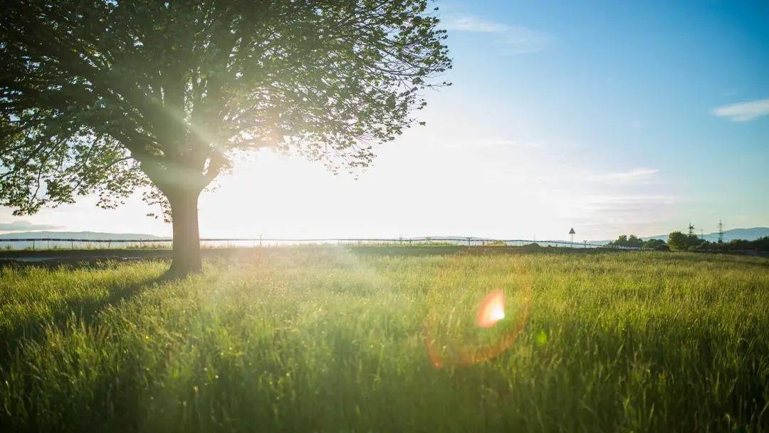 给即将参加中考的孩子们的20句暖心加油话-马上中考了家长为孩子加油的话怎么写