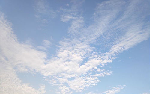 祝福中考成功的佳句简短 中考祝福语和鼓励的话短句霸气-祝福中考成功的神仙文案