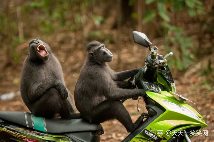 有没有比较简短又搞笑的笑话？（简短最搞笑的笑话）