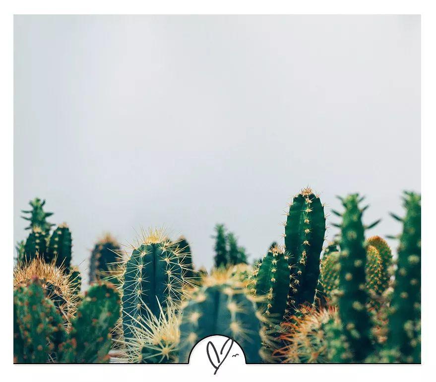 15个冷笑话，专门拯救你的不开心（冷笑话都有哪些词）