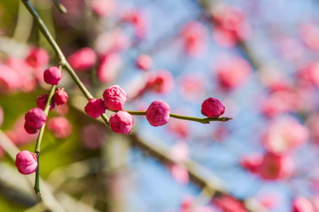 10则小笑话，有理，有趣，有深度（能让全班哄堂大笑的笑话）