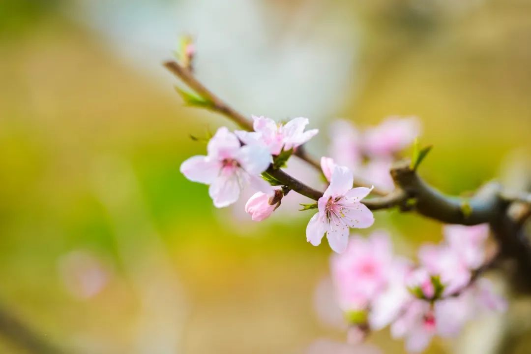 10则小笑话，有理，有趣，有深度（能让全班哄堂大笑的笑话）