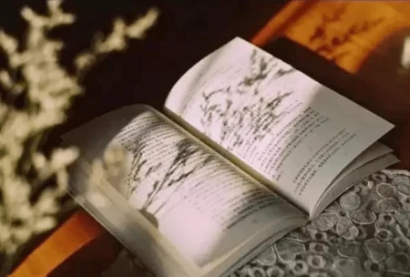 作文：语文学习不只是在课堂（生活处处是课堂）-语文不止在课堂